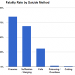 Hanging Up Suicides in United States