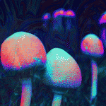 Could 'Magic' Mushrooms Relieve Depression?